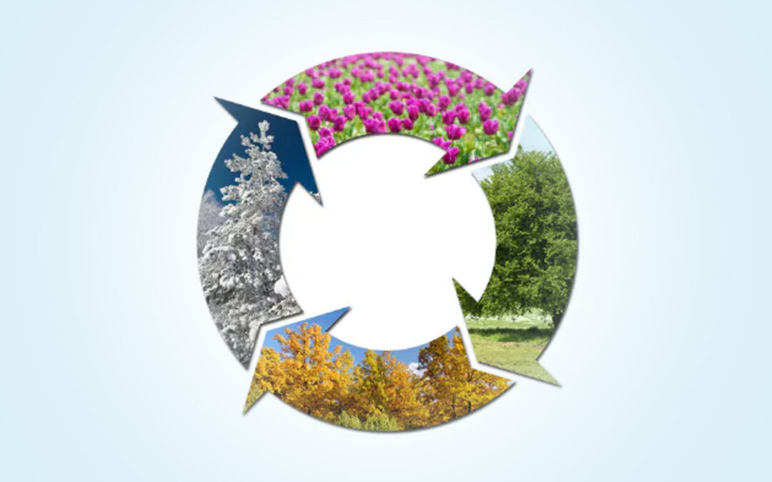 How Seasonal Changes Affect Your Plumbing in Hertfordshire