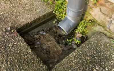Drain Unblocking Myths Debunked